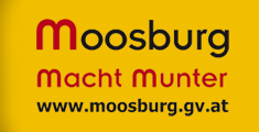 Marktgemeinde Moosburg